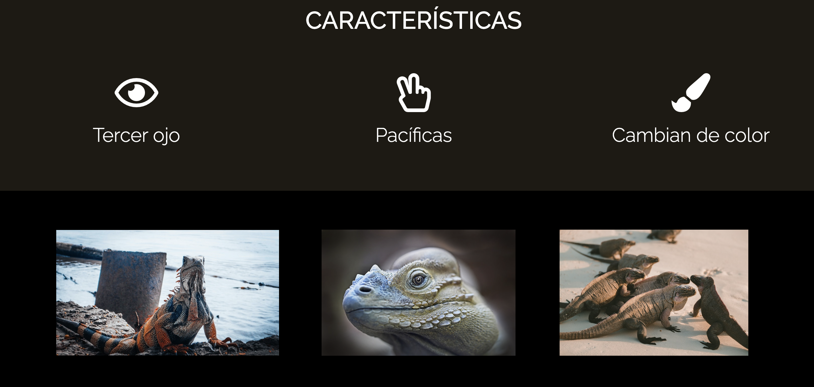 Proyecto Iguana Pages