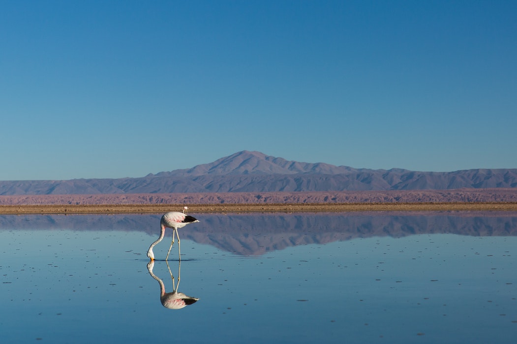 San Pedro de Atacama : 1 o 2 noches en alojamiento a elección